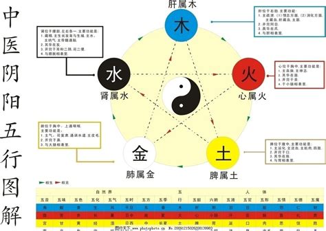 金木水火土 五行|阴阳五行（中国古代朴素的唯物哲学）